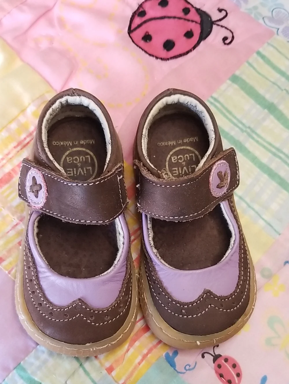 Livie & Luca Brown and Lavender Leather Mary Janes Size 4 Tootles